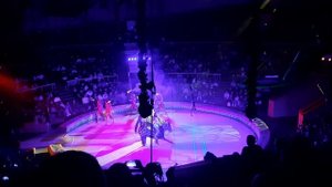 Цирковые лошади.