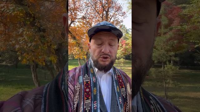 Штраф за охоту с ружьем и собакой ?!! Разъяснение !!! смотреть онлайн