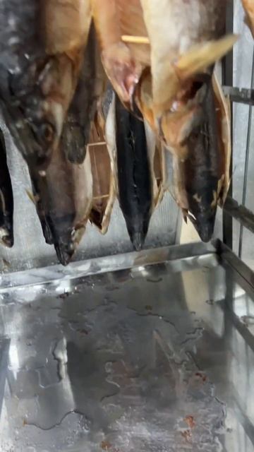 🔥ЖИР! ОМЕГА! ОТБОРНЫЙ ОМУЛЬ ВЯЛЕНЫЙ И ХОЛОДНОГО КОПЧЕ смотреть онлайн