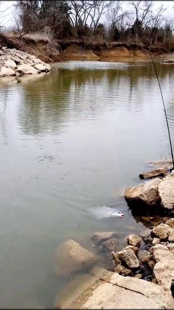 Поплавочная рыбалка в зимнее время смотреть онлайн