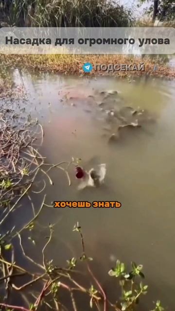 Возьми с собой в сентябре на рыбалку и не утащишь свою смотреть онлайн