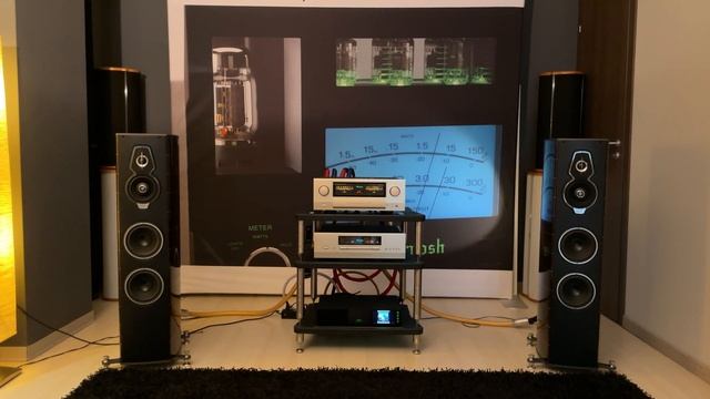 Is This The BEST Audio Setup of 2025 Accuphase & Sonus faber Death of the Bull - Stavros Lantsias