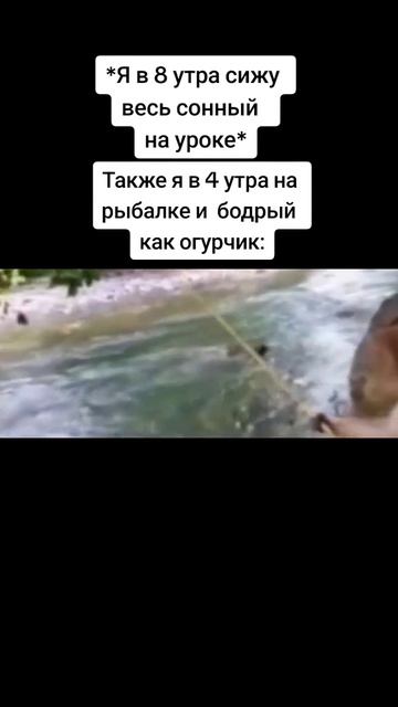 #приколы #рекомендации #смешно #смех #рыбалка #обезьяна смотреть онлайн