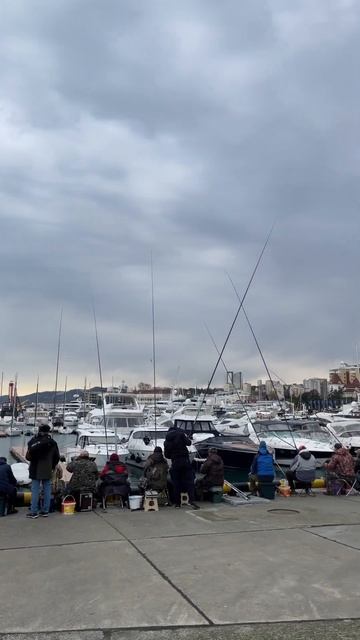 Сочи, рыбалка (Морской порт) #путешествия #отдых #релак? смотреть онлайн