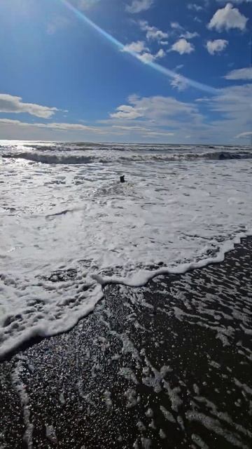 Поисковая морская Овчарка! #yamaha #лодка #fishing #море #овча? смотреть онлайн