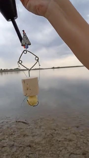 Снасть на толстолоба #рыбалка #fishing #рек #рыбачим #реком смотреть онлайн