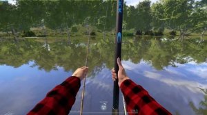 РР4 Точка клёва - Северский Донец - Сельдь, Шемая, Чехон?