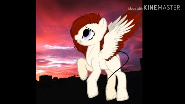 Пони обработка