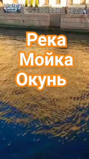 Рыбалка Ловля Окуня #клюет #fishing #ловим #2024 #fish #рыбалка # смотреть онлайн