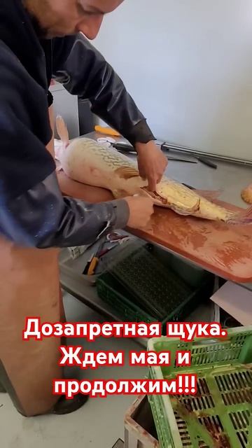 Как это было в марте. а в апреле нельзя.#рыбалканаозере смотреть онлайн