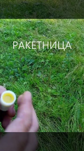 13 октября 2024 #Защитаотмедведя #лайфхак #влесу #ракетни? смотреть онлайн