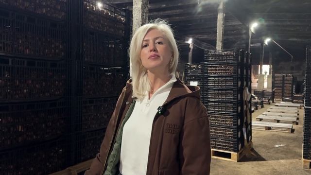 ОТГРУЖАЕМ ЛУКОВИЦЫ ТЮЛЬПАНОВ смотреть онлайн