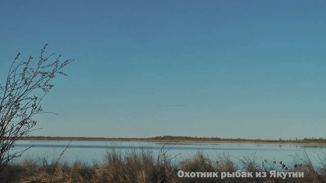 ОХОТА НА ТУРПАНА НА КОЛЫМЕ 2024 смотреть онлайн