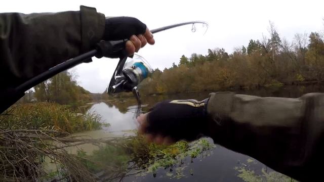 Скажені БЕРЕГОВІ ЩУКИ! Favorite Х1 702МН/ТОП воблер для МІЛИ? смотреть онлайн