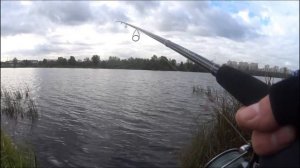 Отзыв о спиннинге Nautilus Imperial IMS-842M 255см 7-28гр