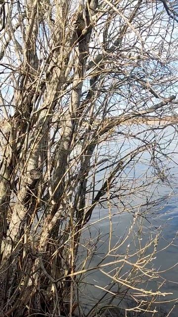 охота#рыбалка#обкатка#мотор#лодка# смотреть онлайн