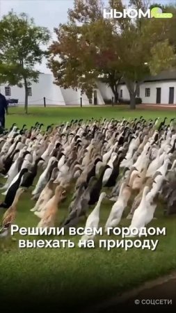 Дороги 7 мая вечером