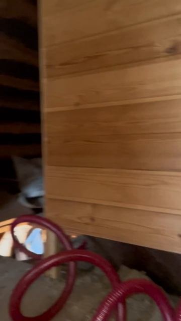 Мини влог с дачи 🏡🐶🤍 #дача #влог #минивлог #джекрасс? смотреть онлайн