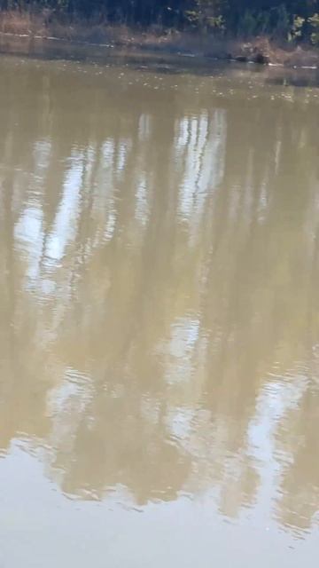 Куда нужно кидать снасть когда нерест смотреть онлайн