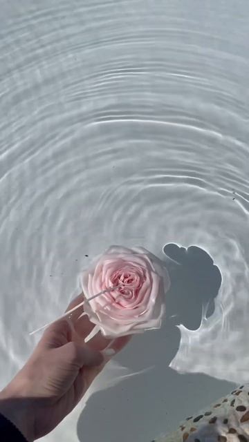 Свечи цветы на воде 🤍 Обучение❤️ #свечароза #роза #ба