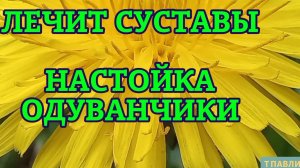 ЛЕЧИТ СУСТАВЫ Из одуванчиков настойка