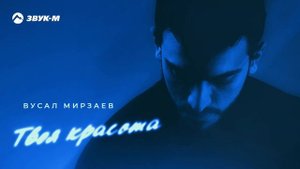 Вусал Мирзаев - Твоя красота | Премьера трека 2025