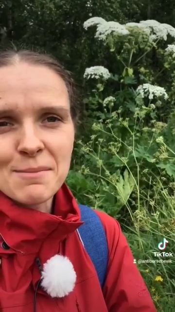 #борщевик #антиборщевик #погода #жизньборьба смотреть онлайн