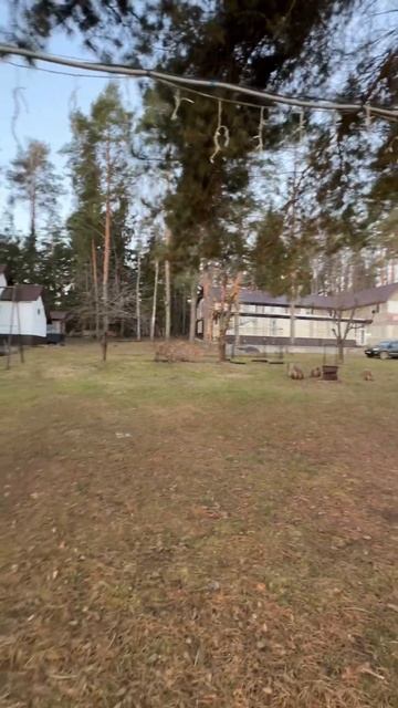 💥Я в раю #охота #рыбалка #март #рыбаки #рыбалканаозере смотреть онлайн