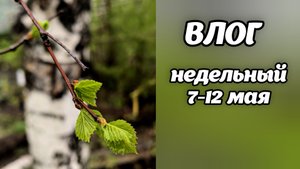 ВЛОГ недельный. Открытие сезона. ПП десерты. Рукодельничаю.
