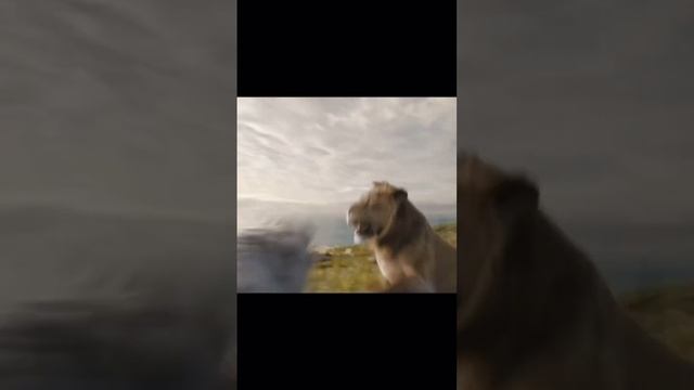 Король лев Муфаса. Момент когда Шрам испугался #film #king # смотреть онлайн