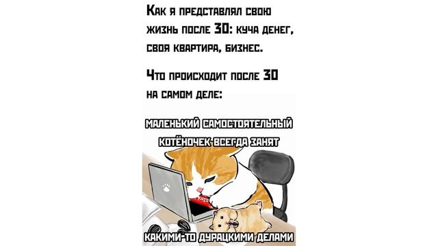 НЕ ЕШЬ! хотя... ))) | Приколы | Мемозг 1548 смотреть онлайн