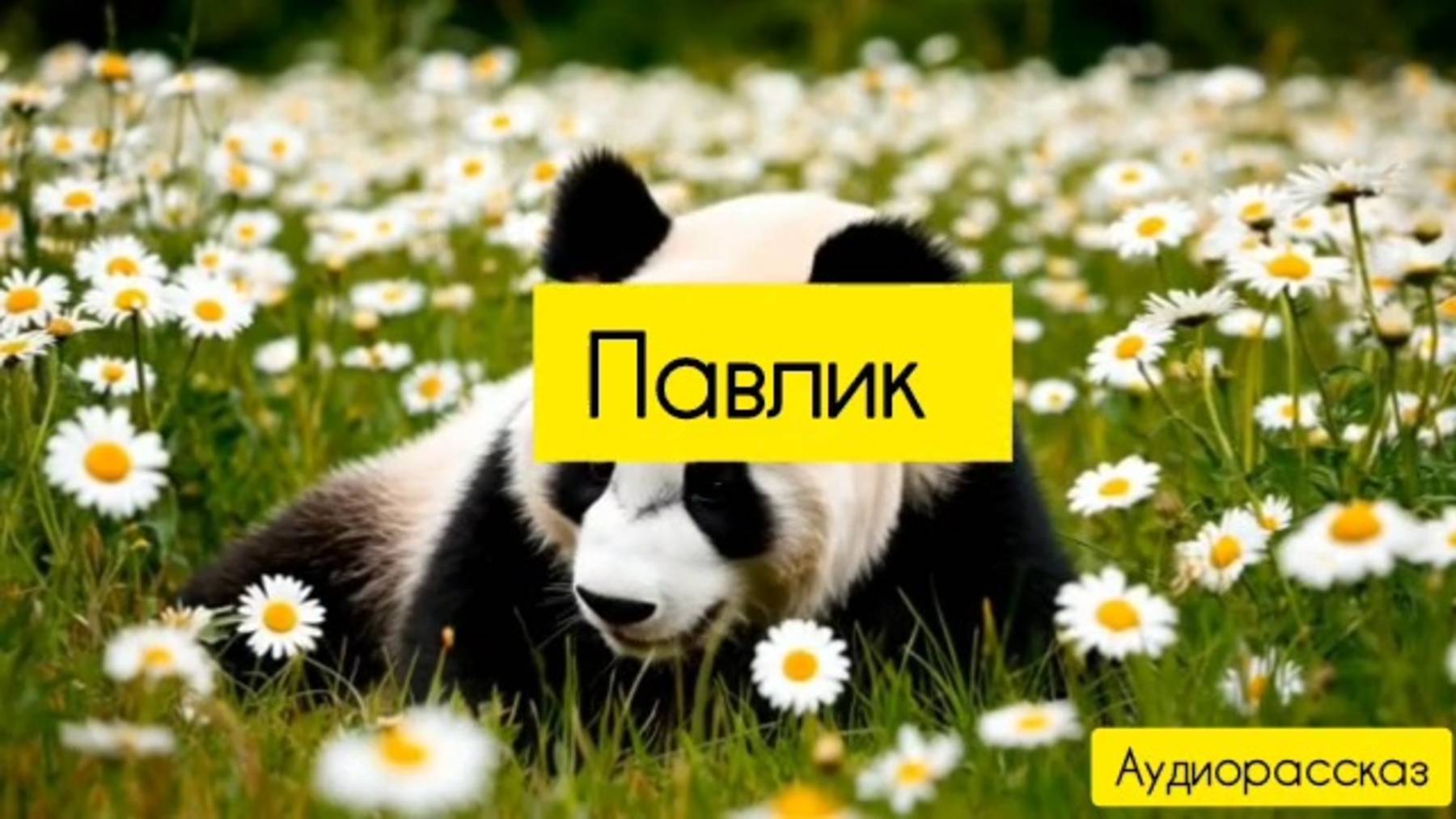 Павлик. Аудиорассказ.