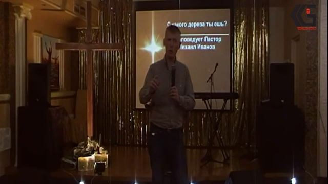 С какого дерева ты ешь? Михаил Иванов. смотреть онлайн