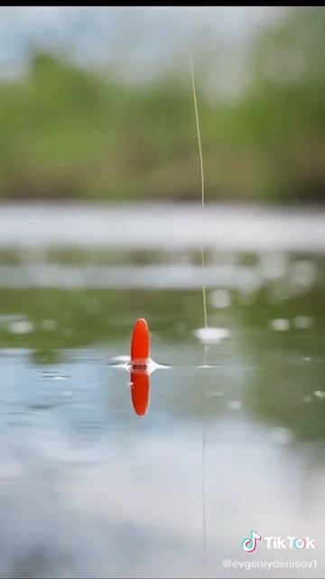 тот самый кайф на рыбалке 🎣 смотреть онлайн