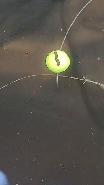 РИБАЛКА НА ФІДЕР #флетметод #popup #fletFeeder смотреть онлайн