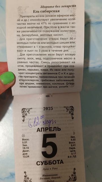 Здоровье без лекарств. Ель сибирская #здоровье смотреть онлайн