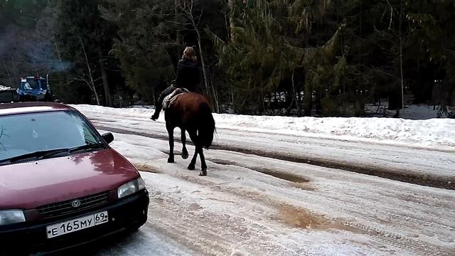 Даша наездница