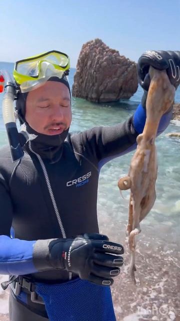 Черногория рыбалка на море