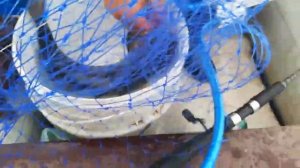 Ловля терпуга и окуня на Русском острове