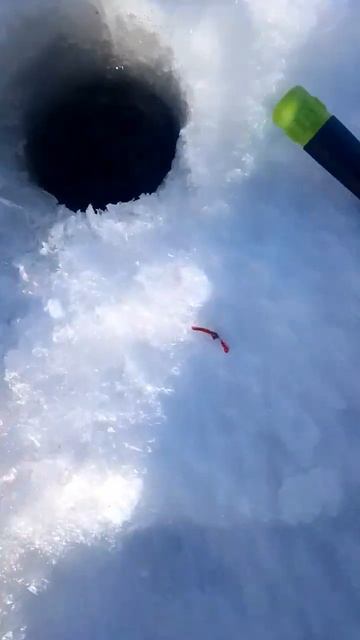 щучка на мотыля #рыбалка #рекомендации #рыбалка2023 #щук? смотреть онлайн