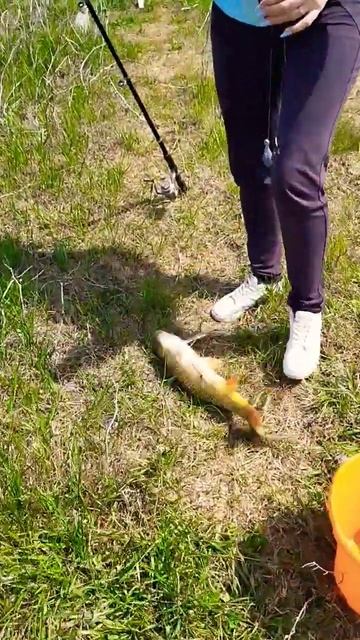 рыбалка 2023! смотреть онлайн