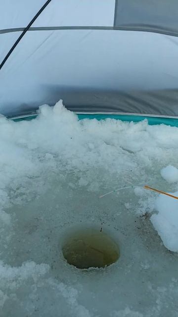 #рыбалка #река #плотва #первыйлед #жерлица #2023 смотреть онлайн