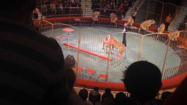 Улетный Цирк))!!! смотреть онлайн