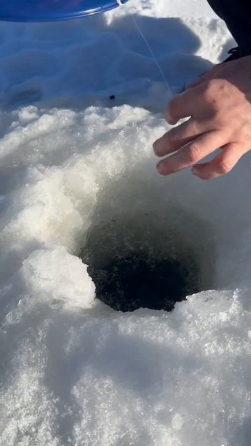 Поехали отмечать день рождения и поймать золотую рыбк смотреть онлайн