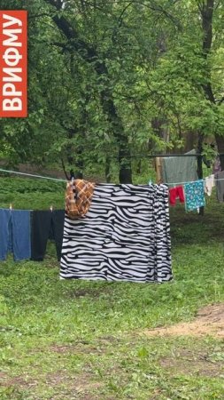 #врифму