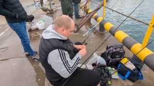 Кефаль на чашки // Имеретинский порт