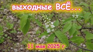 Выходные закончились 11 мая 2025 г