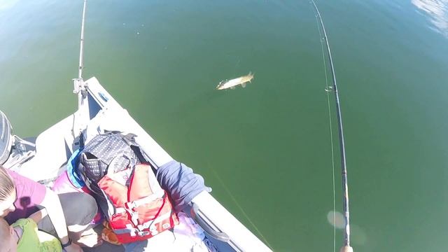 День отца. Семейка на рыбалке . смотреть онлайн