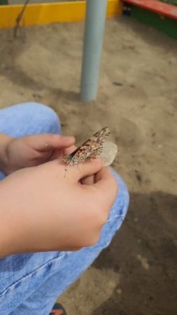 У всего есть своя красота, но не каждый может ее увидеть.