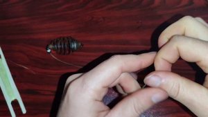 Монтаж оснастки пружина, для ловли всей мирной рыбы